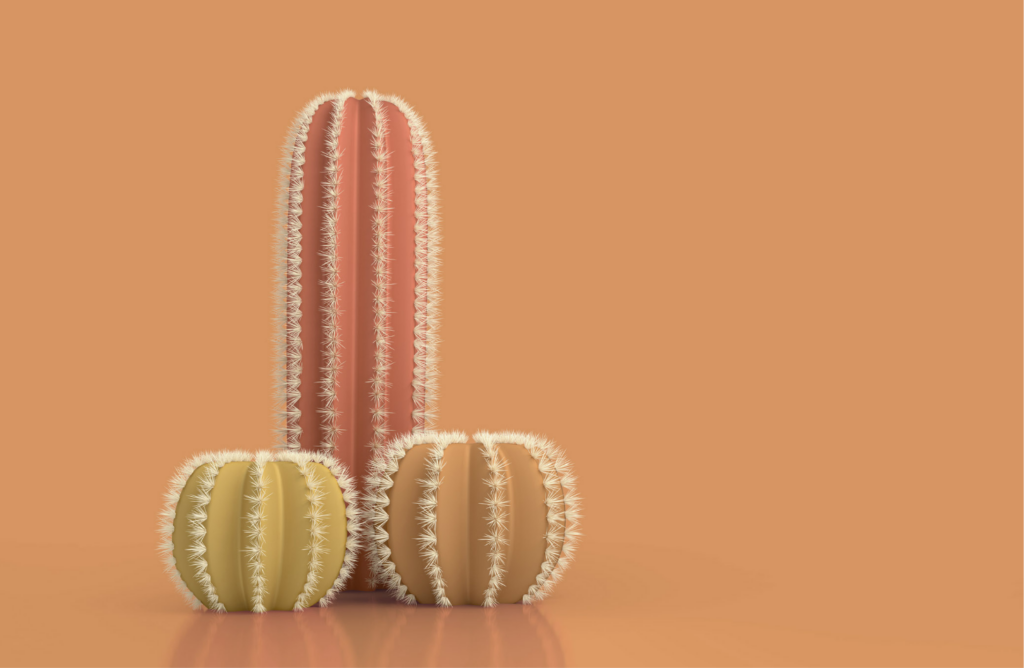 kaktus som ser ut som et mannlig kjønnsorgan